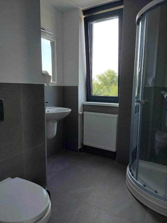 Casa Maria City Apartments Timisoara Bagian luar foto