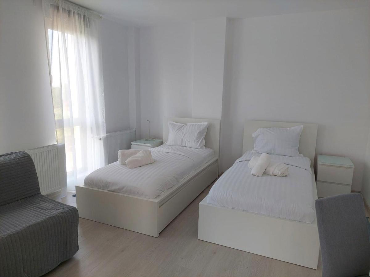 Casa Maria City Apartments Timisoara Bagian luar foto